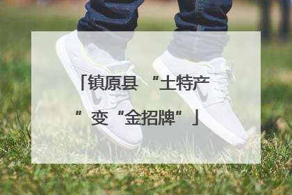 镇原县 “土特产”变“金招牌”