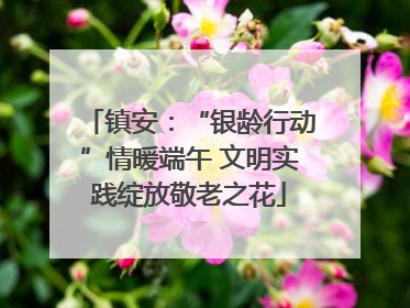 镇安：“银龄行动”情暖端午 文明实践绽放敬老之花