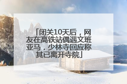 闭关10天后，网友在高铁站偶遇文班亚马，少林寺回应称其已离开寺院