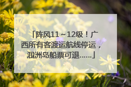 阵风11～12级！广西所有客渡运航线停运，涠洲岛船票可退……