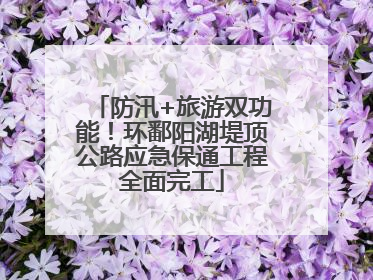 防汛+旅游双功能！环鄱阳湖堤顶公路应急保通工程全面完工