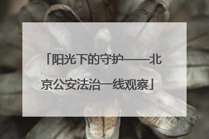 阳光下的守护——北京公安法治一线观察