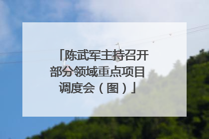 陈武军主持召开部分领域重点项目调度会（图）