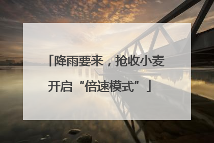降雨要来，抢收小麦开启“倍速模式”