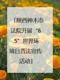陕西神木市法院开展“6.5”世界环境日普法宣传活动
