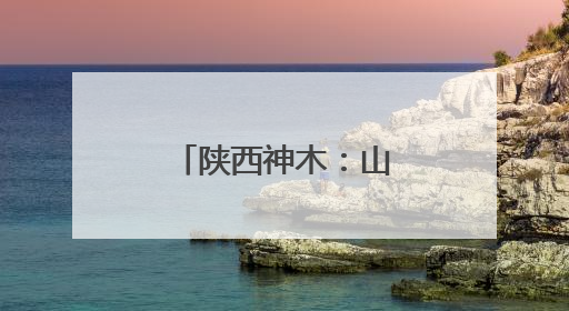 陕西神木：山地果园种出致富新“钱”景