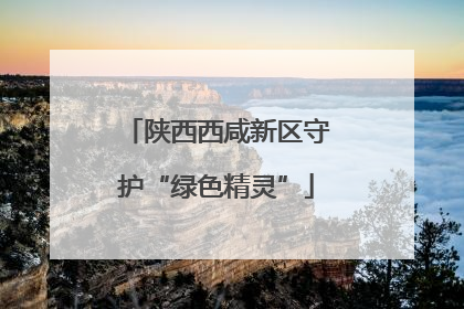陕西西咸新区守护“绿色精灵”