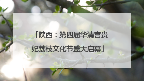 陕西：第四届华清宫贵妃荔枝文化节盛大启幕