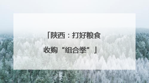 陕西：打好粮食收购“组合拳”
