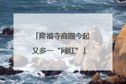 隆福寺商圈今起又多一“网红”