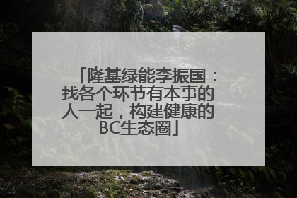 隆基绿能李振国：找各个环节有本事的人一起，构建健康的BC生态圈