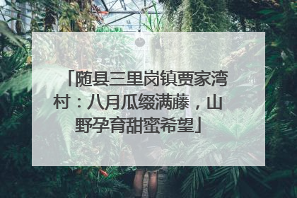 随县三里岗镇贾家湾村：八月瓜缀满藤，山野孕育甜蜜希望