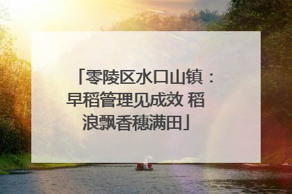 零陵区水口山镇：早稻管理见成效 稻浪飘香穗满田