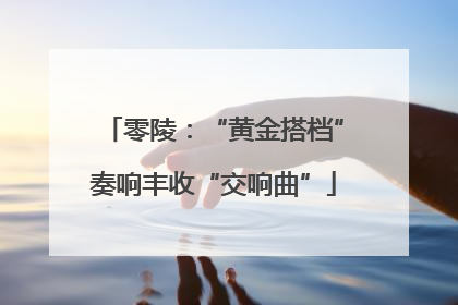 零陵：“黄金搭档”奏响丰收“交响曲”