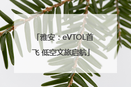 雅安：eVTOL首飞 低空文旅启航