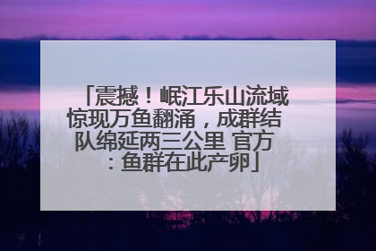 震撼！岷江乐山流域惊现万鱼翻涌，成群结队绵延两三公里 官方：鱼群在此产卵