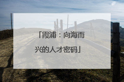 霞浦：向海而兴的人才密码