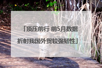 顶压前行 前5月数据折射我国外贸较强韧性