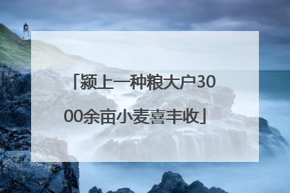 颍上一种粮大户3000余亩小麦喜丰收