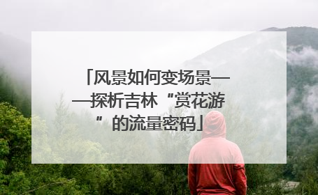 风景如何变场景——探析吉林“赏花游”的流量密码