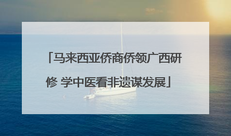 马来西亚侨商侨领广西研修 学中医看非遗谋发展