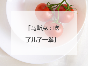 马斯克：吃了儿子一拳
