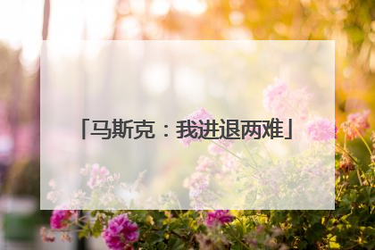 马斯克：我进退两难