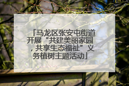 马龙区张安屯街道开展“共建美丽家园，共享生态福祉”义务植树主题活动