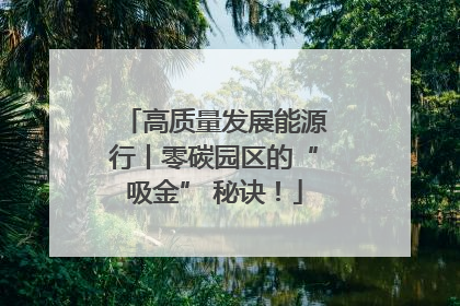 高质量发展能源行丨零碳园区的“吸金” 秘诀！