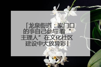 龙泉街道：家门口的事自己参与 看“主理人”在文化社区建设中大放异彩
