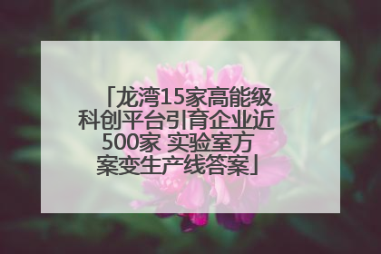 龙湾15家高能级科创平台引育企业近500家 实验室方案变生产线答案