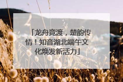 龙舟竞渡，楚韵传情！知音湖北端午文化焕发新活力