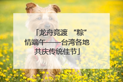 龙舟竞渡 “粽”情端午——台湾各地共庆传统佳节