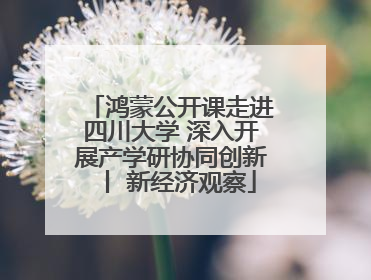鸿蒙公开课走进四川大学 深入开展产学研协同创新丨 新经济观察