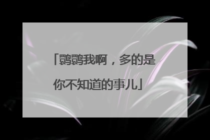 鹮鹮我啊，多的是你不知道的事儿