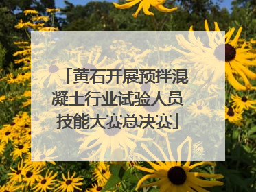 黄石开展预拌混凝土行业试验人员技能大赛总决赛