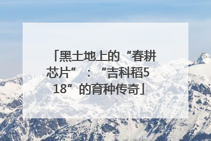 黑土地上的“春耕芯片”：“吉科稻518”的育种传奇