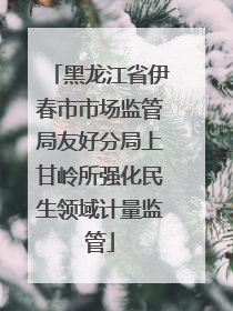 黑龙江省伊春市市场监管局友好分局上甘岭所强化民生领域计量监管