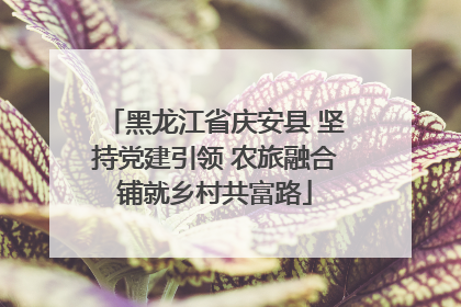 黑龙江省庆安县 坚持党建引领 农旅融合铺就乡村共富路