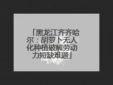 黑龙江齐齐哈尔：胡萝卜无人化种植破解劳动力短缺难题