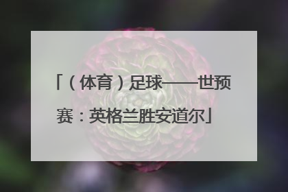 （体育）足球——世预赛：英格兰胜安道尔