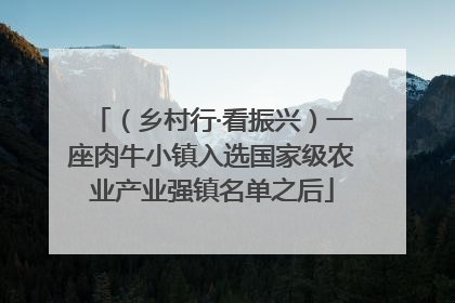 （乡村行·看振兴）一座肉牛小镇入选国家级农业产业强镇名单之后