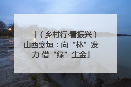 （乡村行·看振兴）山西襄垣：向“林”发力 借“绿”生金