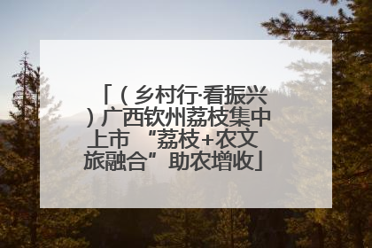 （乡村行·看振兴）广西钦州荔枝集中上市 “荔枝+农文旅融合”助农增收