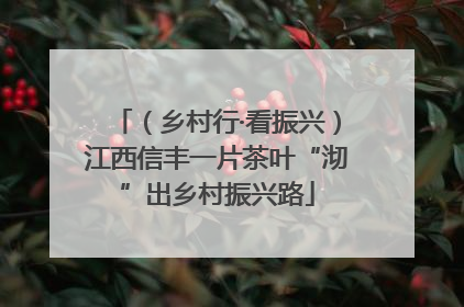 （乡村行·看振兴）江西信丰一片茶叶“沏”出乡村振兴路