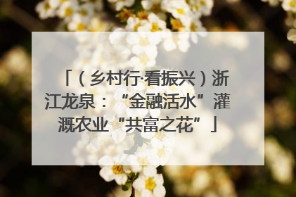 （乡村行·看振兴）浙江龙泉：“金融活水”灌溉农业“共富之花”
