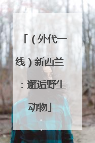 （外代一线）新西兰：邂逅野生动物