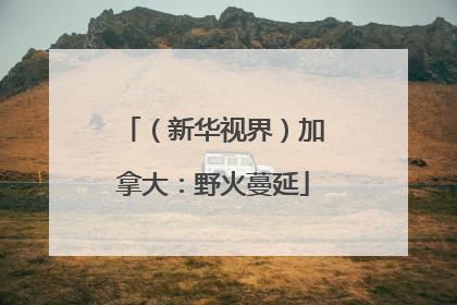 （新华视界）加拿大：野火蔓延
