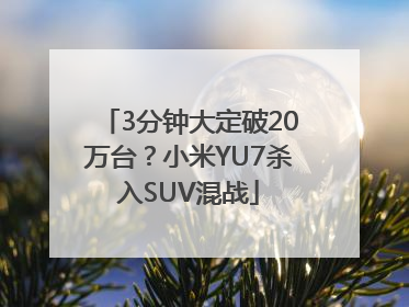 3分钟大定破20万台？小米YU7杀入SUV混战
