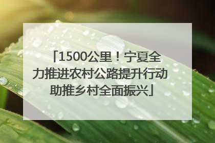 1500公里！宁夏全力推进农村公路提升行动 助推乡村全面振兴